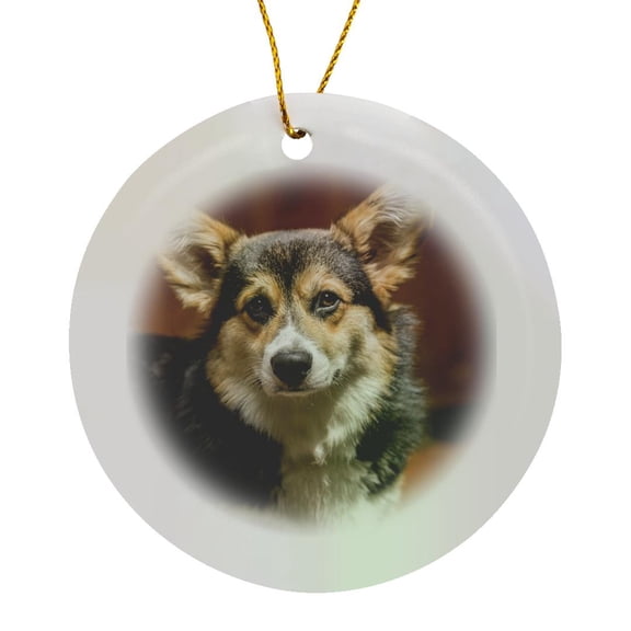 3drose, Issaquah, Wa, Usa. Six Month Old Corgi Puppy Posing on a Lawn Chair., Circle Porcelain Ornament