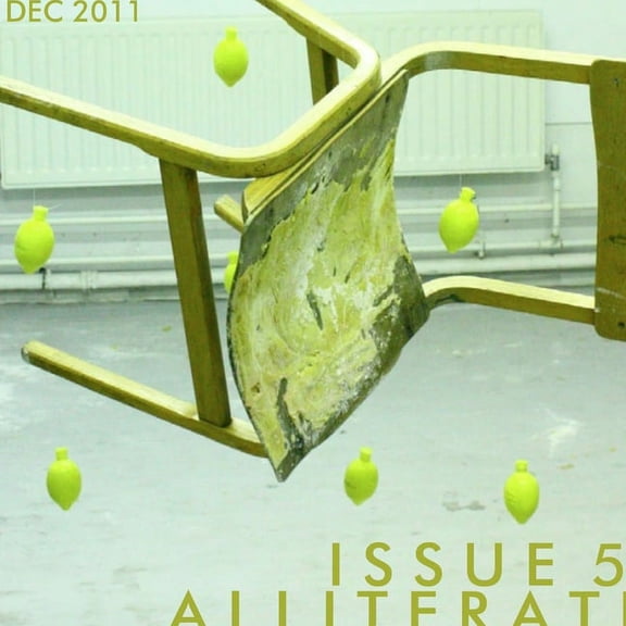 Issue 5 / December 2011, (Paperback)