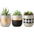 thumbnail image 1 of Isuesee Cement Succulent Planter Set of 3 Concrete Plant Pots, 1 of 5
