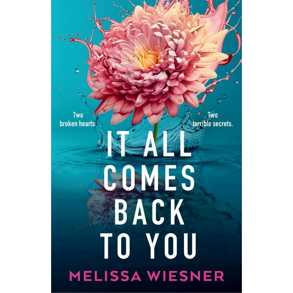 It All Comes Back to You (Paperback)