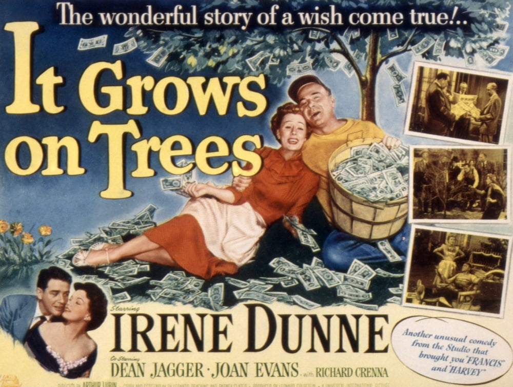 It Grows On Trees Canvas Art - (28 x 22)