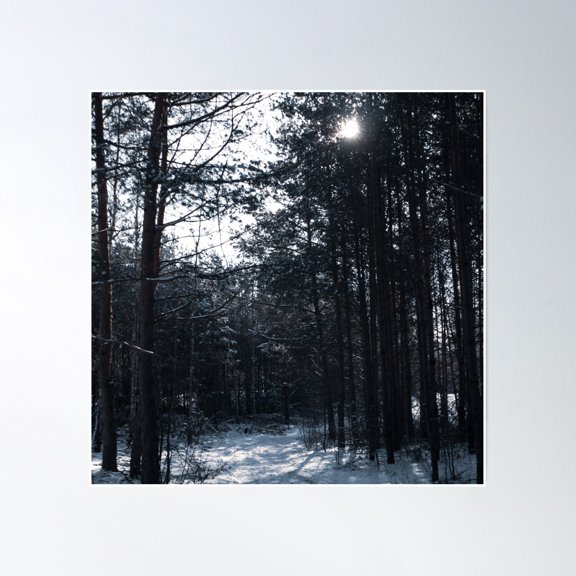 It Is Really Cold Today... Poster Wall Art, Modern Wall Decor, 30x30 UNFRAMED