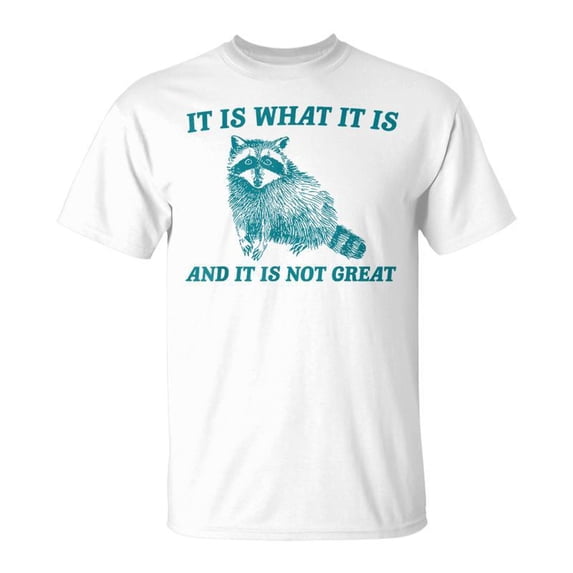 It Is What It Is And It Is Not Great Raccoon Meme TShirt - Walmart.com