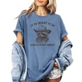 thumbnail image 1 of It Is What It Is and It Is Not Great Shirt for Women & Teens Funny Raccoon Tee Blue Jean Shirt Adult Small, 1 of 4