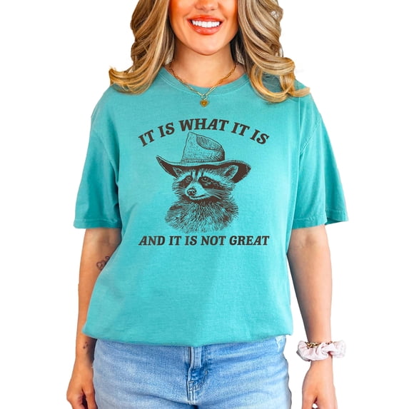 It Is What It Is and It Is Not Great Shirt for Women & Teens Funny Raccoon Tee Seafoam Shirt Adult Large