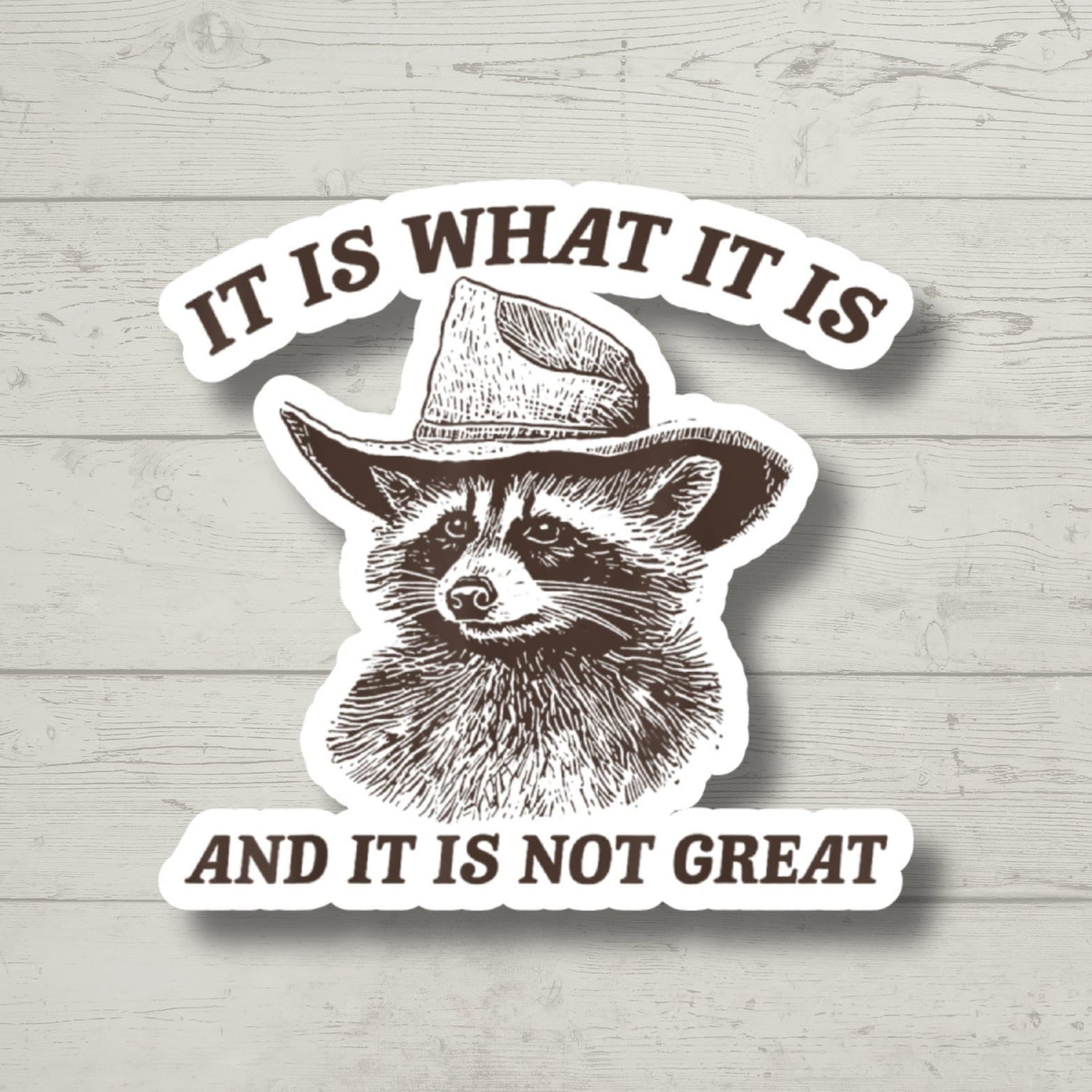 It Is What it Is Sticker, Funny Raccoon, Sticker for Laptop, water ...