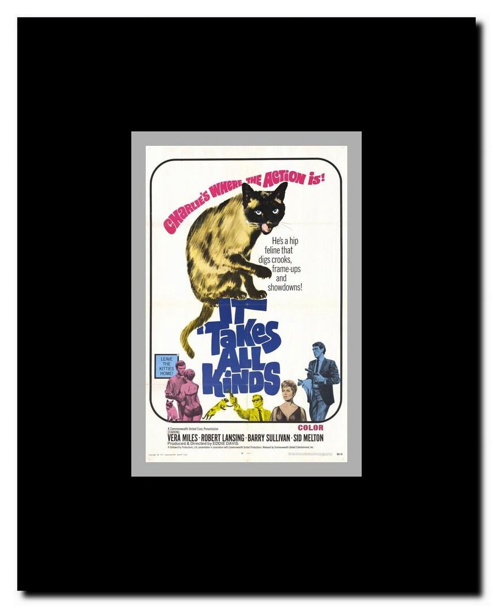 It Takes All Kinds Framed Movie Poster