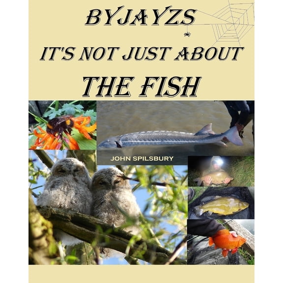 It's Not Just About the Fish, (Paperback)