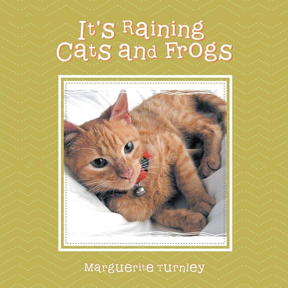 It's Raining Cats and Frogs, (Paperback)