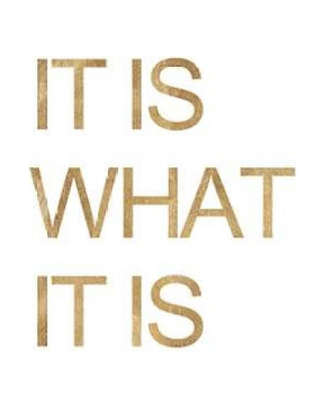 It is What it Is White Canvas Art - Miyo Amori (22 x 28)