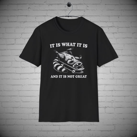 It is What it is T-Shirt, Funny Raccoon tee, Sarcastic Animal tee
