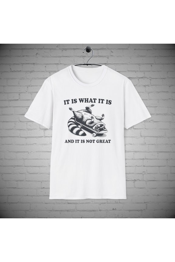 It is What it is T-Shirt, Funny Raccoon tee, Sarcastic Animal tee