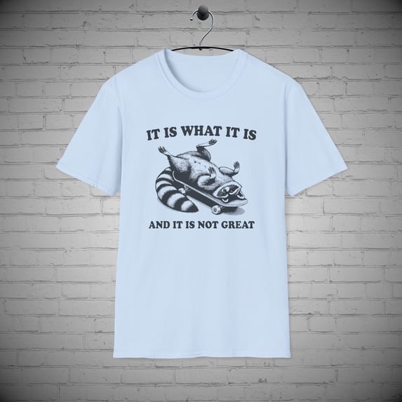 It is What it is T-Shirt, Funny Raccoon tee, Sarcastic Animal tee
