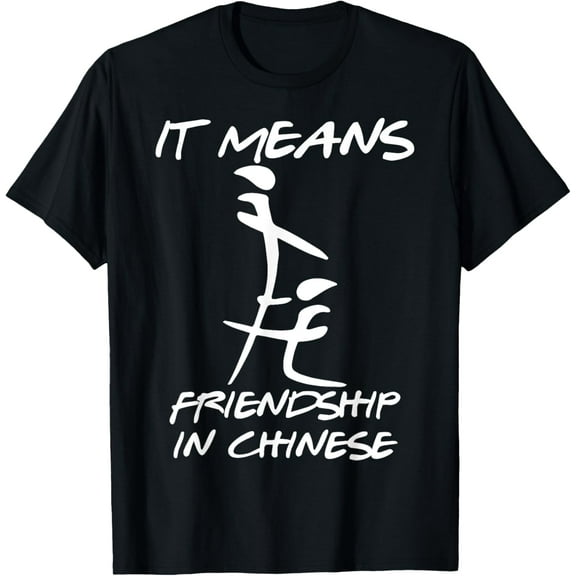 It means friendship in chinese funny sarcasm T-Shirt