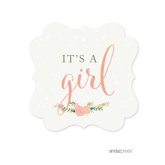 Koyal Wholesale Floral Roses Its a Girl Baby Shower Gift Tags, 24-Pack Fancy Frame Decor