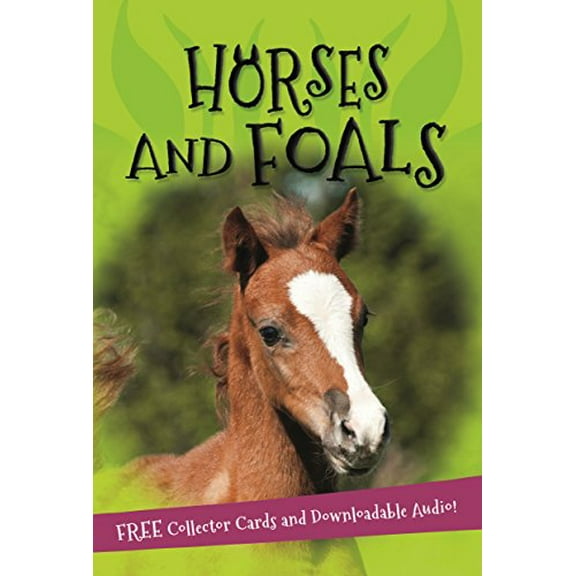 Pre-Owned It's All About... Horses and Foals (Paperback) 0753474123 9780753474129