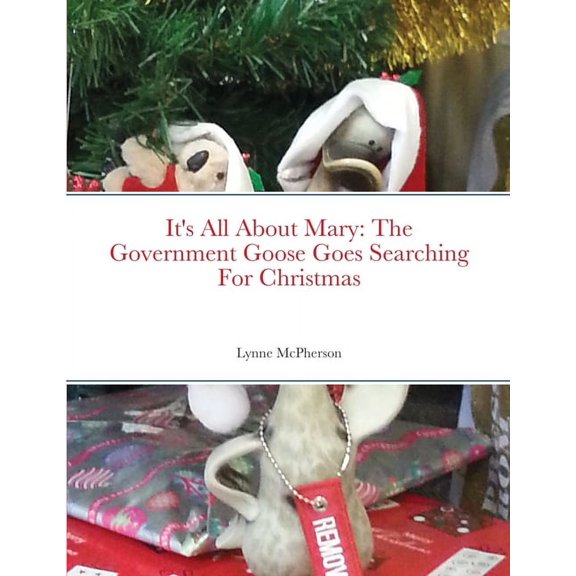 It's All About Mary: The Government Goose Goes Searching For Christmas, (Paperback)
