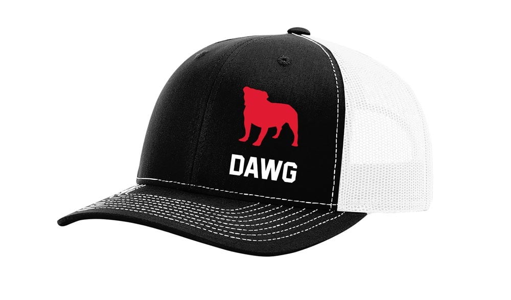 It's All About the South Football in Georgia Bulldog Dawg