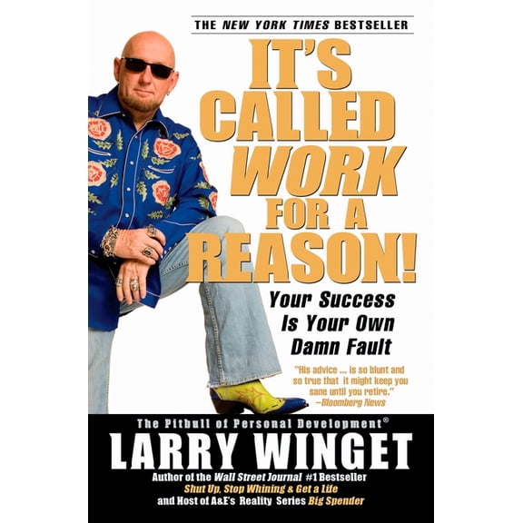 It's Called Work for a Reason! : Your Success Is Your Own Damn Fault (Paperback)