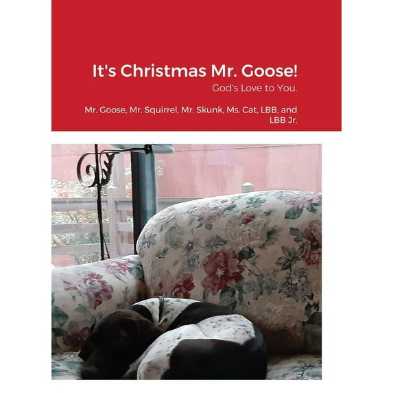 It's Christmas Mr. Goose!: God's Love to You., (Hardcover)