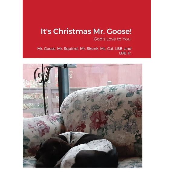It's Christmas Mr. Goose!: God's Love to You., (Hardcover)