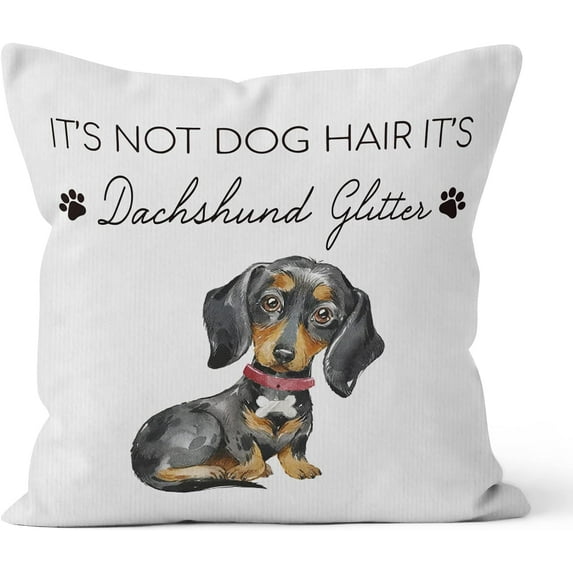 It''s Not Dog Hair It''s Dachshund Litter Decorative Pillowcase Throw Pillow Cover, Funny Dachshund Dog Quote for Sofa Bed Room Home Couch Decor 18 x 18 Inch Pillow Case