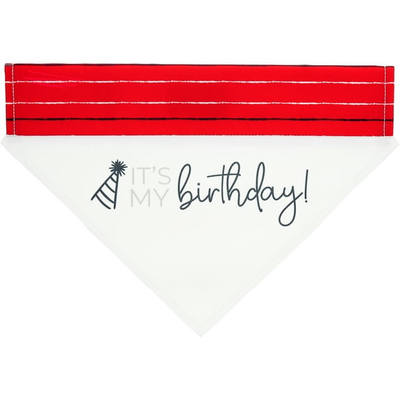 Pavilion Gift Company - It's My Birthday - 12" x 8" Canvas Slip on Pet Bandana