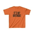thumbnail image 1 of It's My Birthday Boy Girl Kids Shirt Gifts Youth Tee Tshirt, 1 of 2