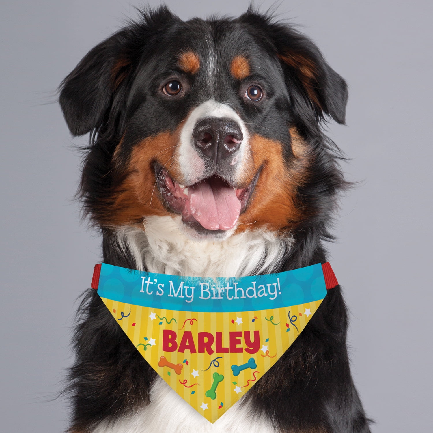 It's My Birthday Personalized Pet Bandana Collar Cover