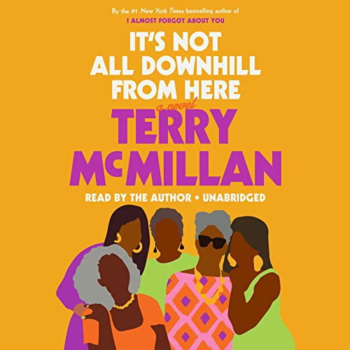 Pre-Owned It's Not All Downhill From Here: A Novel Paperback