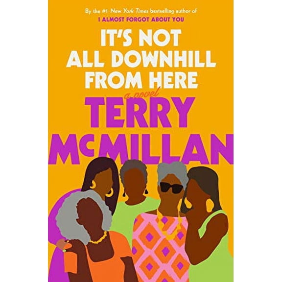Pre-Owned It's Not All Downhill from Here: A Novel