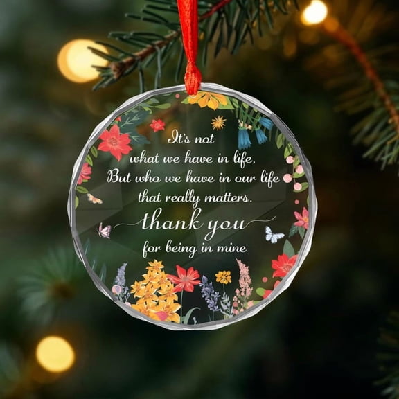 It’s Not What We Have in Life Glass Ornament, Thank You for Being in Mine, Friendship Gift, Sending Love, Gratitude Christmas Gift