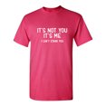 thumbnail image 1 of It's Not You It's Me I Can't Stand You Sarcastic Humor Graphic Novelty Funny Youth T Shirt, 1 of 1