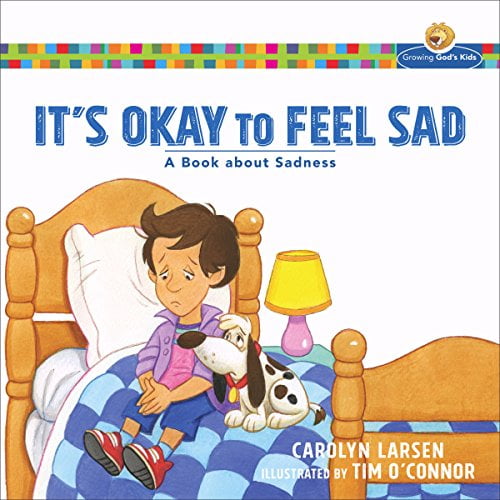 Pre-Owned It's Okay to Feel Sad: A Book about Sadness (Paperback) 080100988X 9780801009884