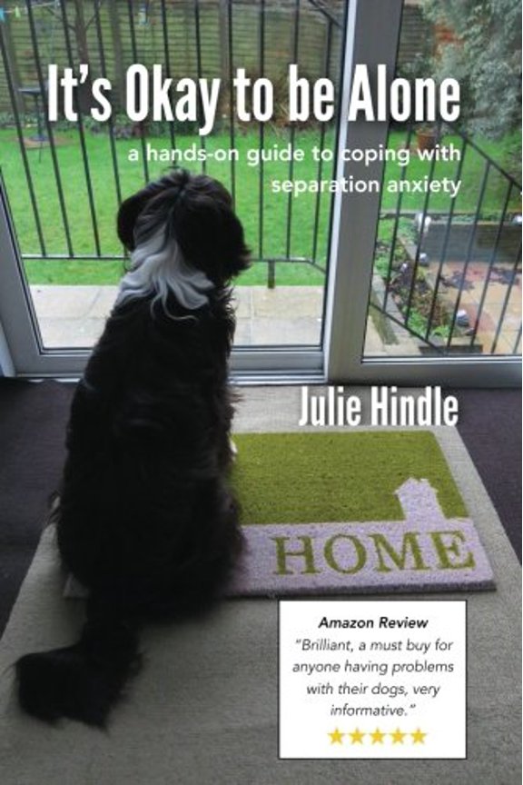 Pre-Owned It's Okay to be Alone: a hands-on guide to coping with separation anxiety, 9781511522977, 1511522976, Paperback,