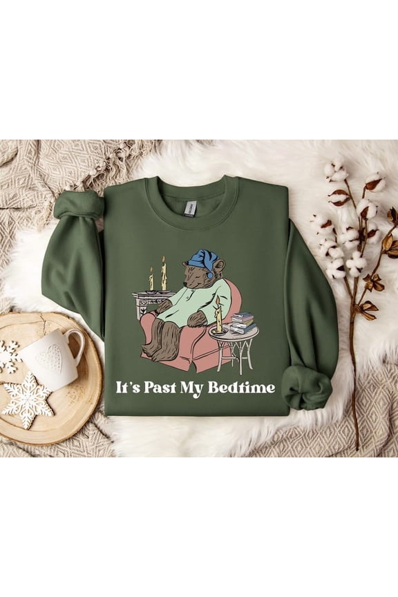 It's Past My Bedtime Sweatshirt, Funny Sleppy Bear Sweater, Funny Bear Meme Shirt, Trendy Unisex Shirt, Gift For Her, Xmas, Funny Saying Tee