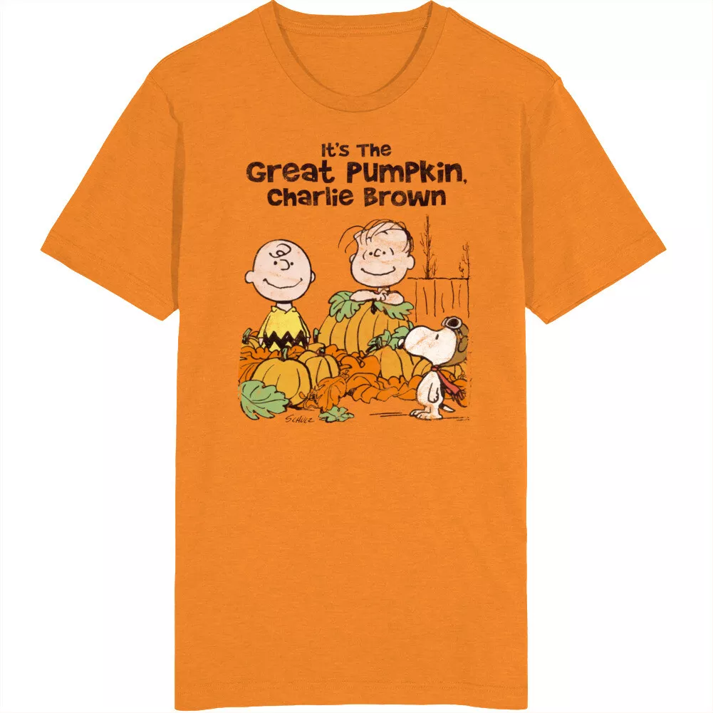 it-s-the-great-pumpkin-charlie-brown-60s-tv-series-show-worn-look