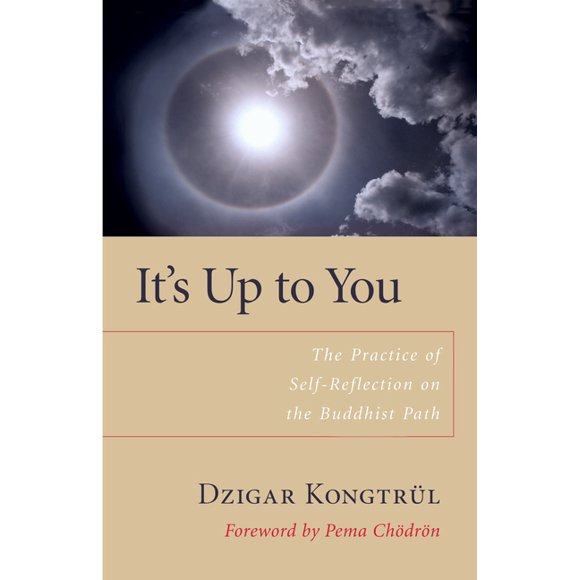 It's Up to You : The Practice of Self-Reflection on the Buddhist Path (Paperback)