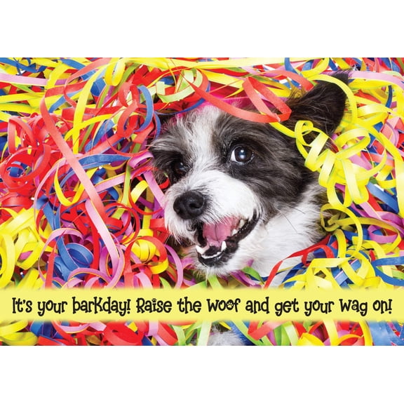 It's Your Barkday! Raise the Woof and Get Your Wag On! Happy Birthday Card