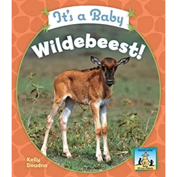 Pre-Owned It's a Baby Wildebeest! (Library Binding) 9781604531596