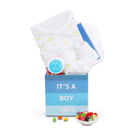 Alder Creek Gift Baskets It's a Boy Baby Gift Box (4 Items)