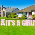 thumbnail image 1 of It's a Girl Lawn Letters with Panda - Baby Girl Birth Announcement Yard Letters, 1 of 5