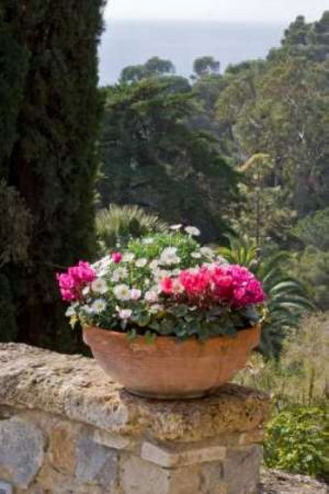 Italian Garden I Canvas Art - Rita Crane (20 x 28)