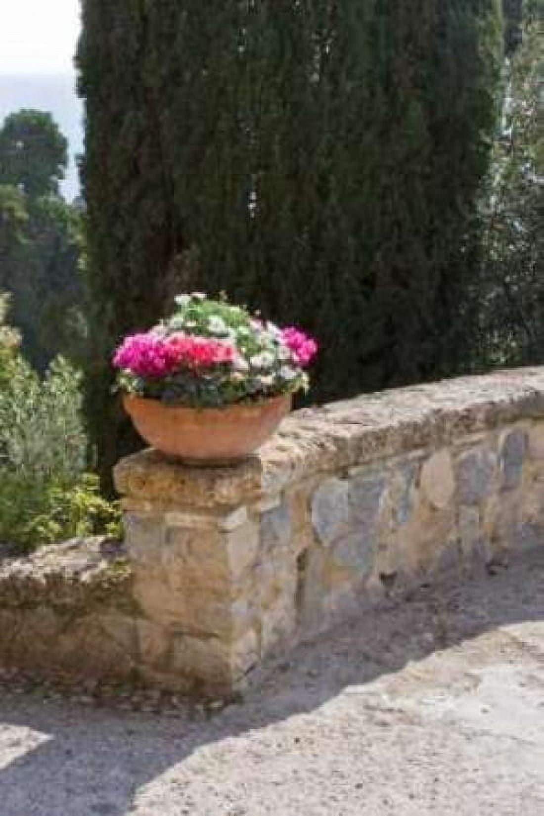 Italian Garden II Canvas Art - Rita Crane (20 x 28)
