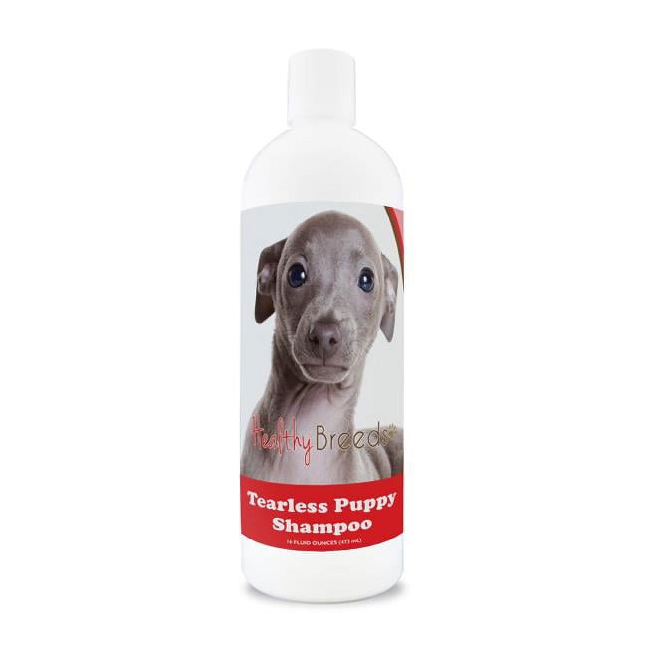 Greyhound shampoo top