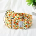 thumbnail image 1 of Italian Greyhound Whippet Martingale wide adjustable dog collar patterned cotton collar, 1 of 10