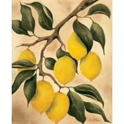 Italian Harvest   Lemons Poster Print - Doris Allison 21 x 24