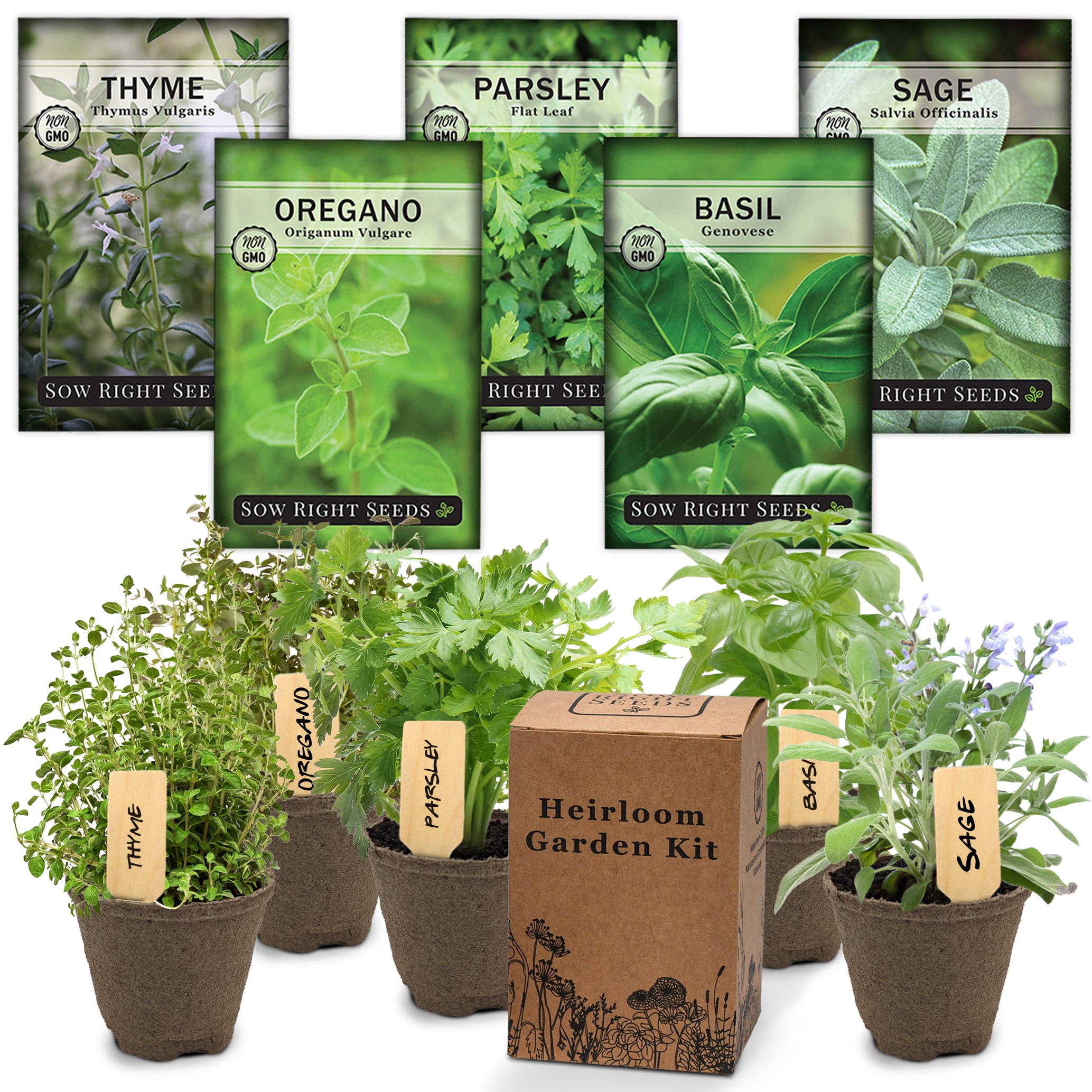 Italian Herb Garden Kit Grow 5 Non GMO Herb Plants Indoor Herb