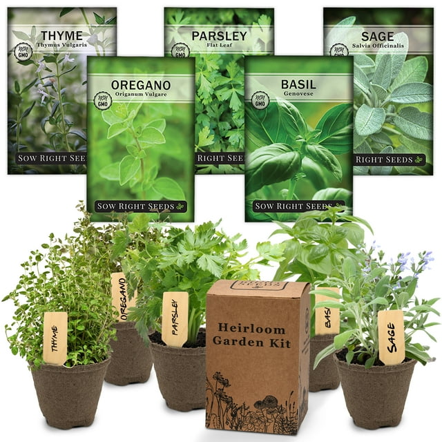 Italian Herb Garden Kit Grow 5 Non GMO Herbs at Home, Includes Pots