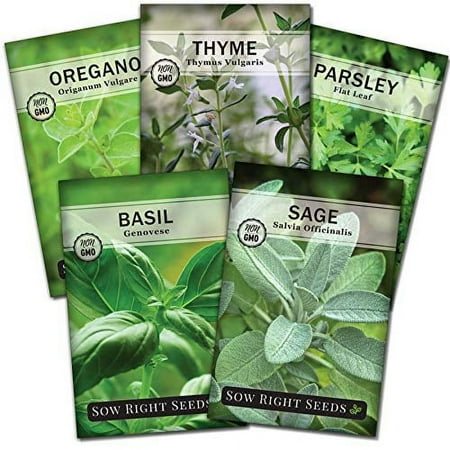 Italian Herb Garden Seed Collection - Non GMO Varieties - 5 Count